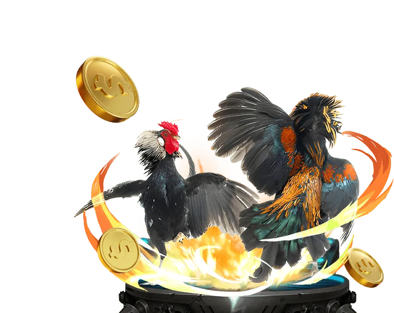 Đá gà Campuchia tại Dabet Live